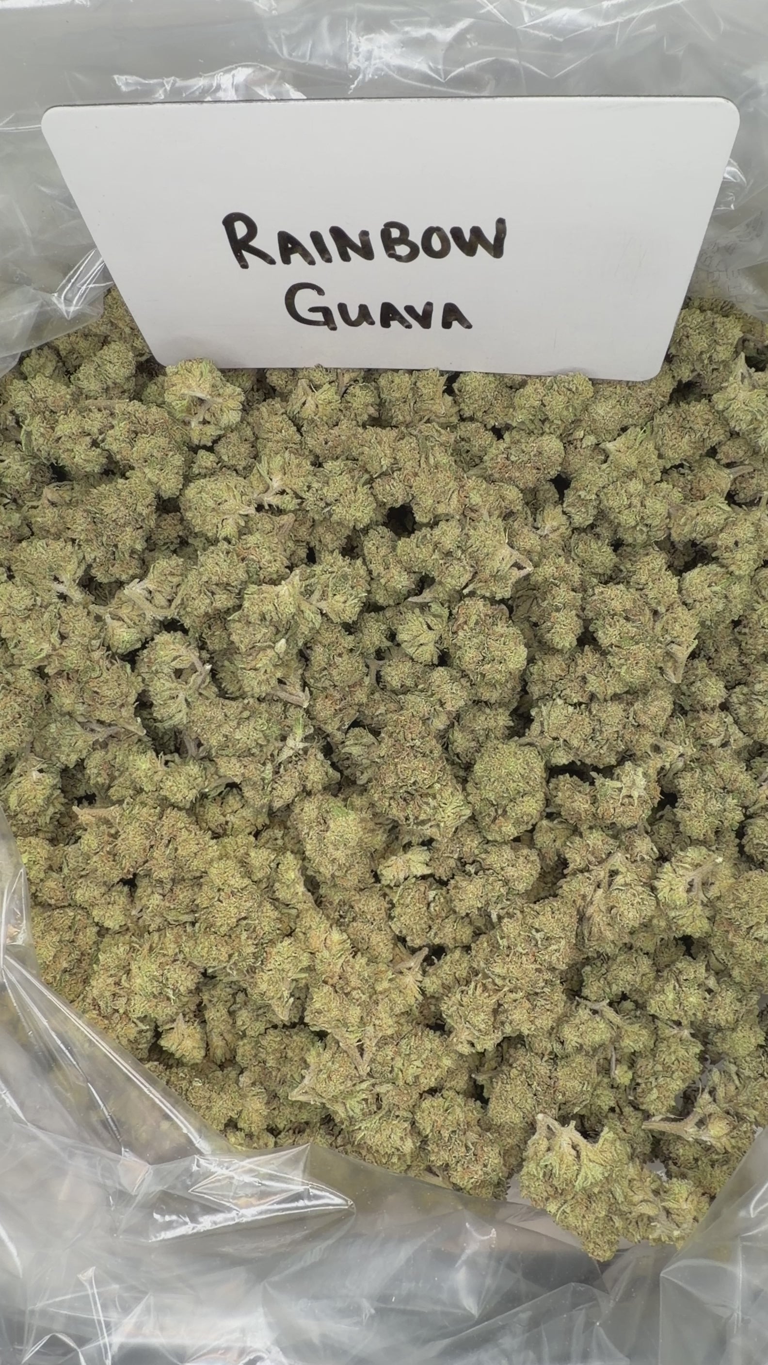 Collection of  in a gallery layout