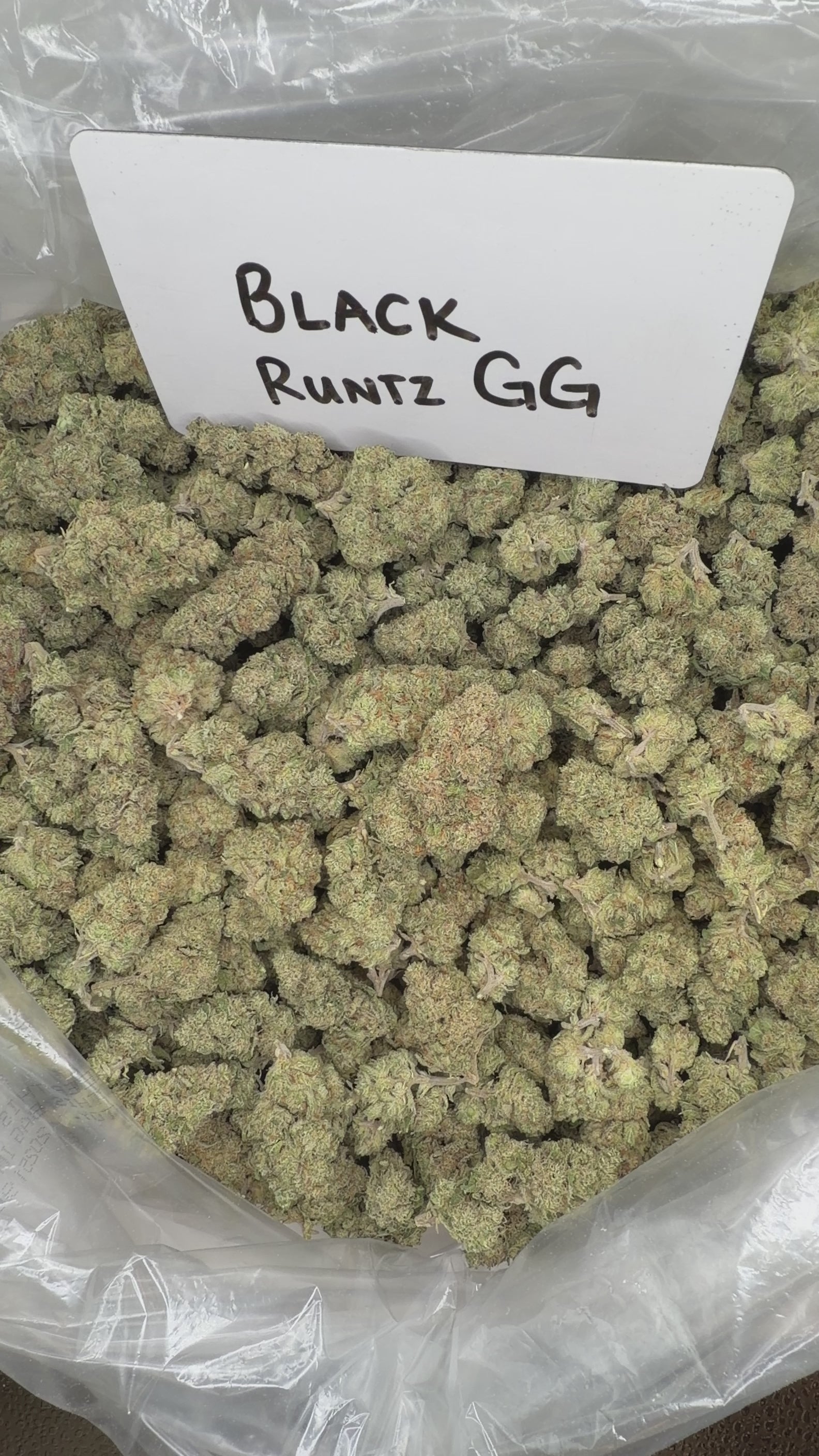 Collection of  in a gallery layout