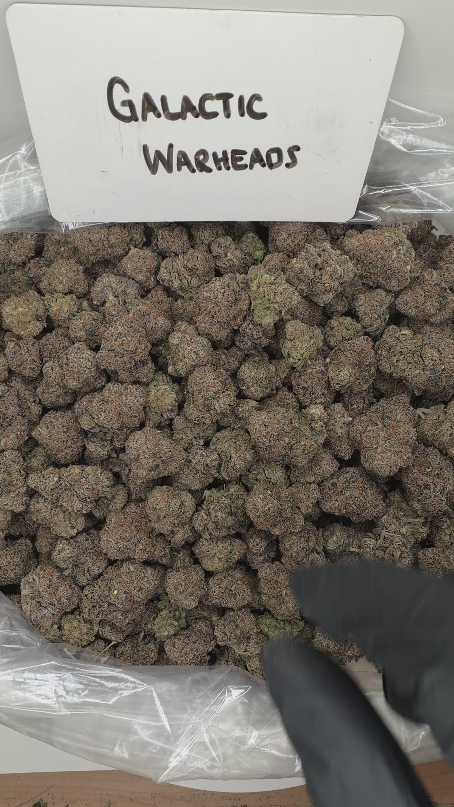Collection of HEMP FLOWER | Galactic Warheads in a gallery layout