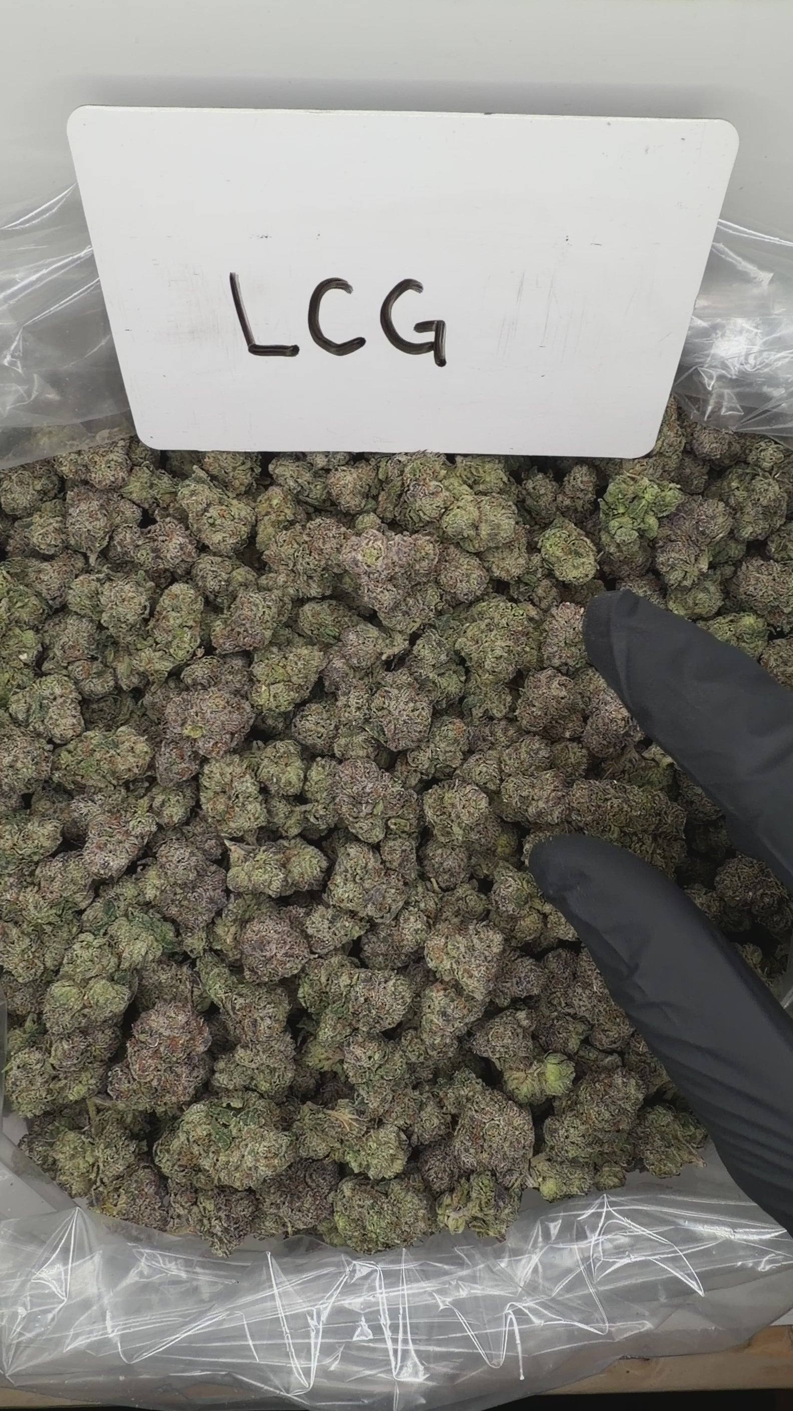Collection of HEMP FLOWER | LCG in a gallery layout