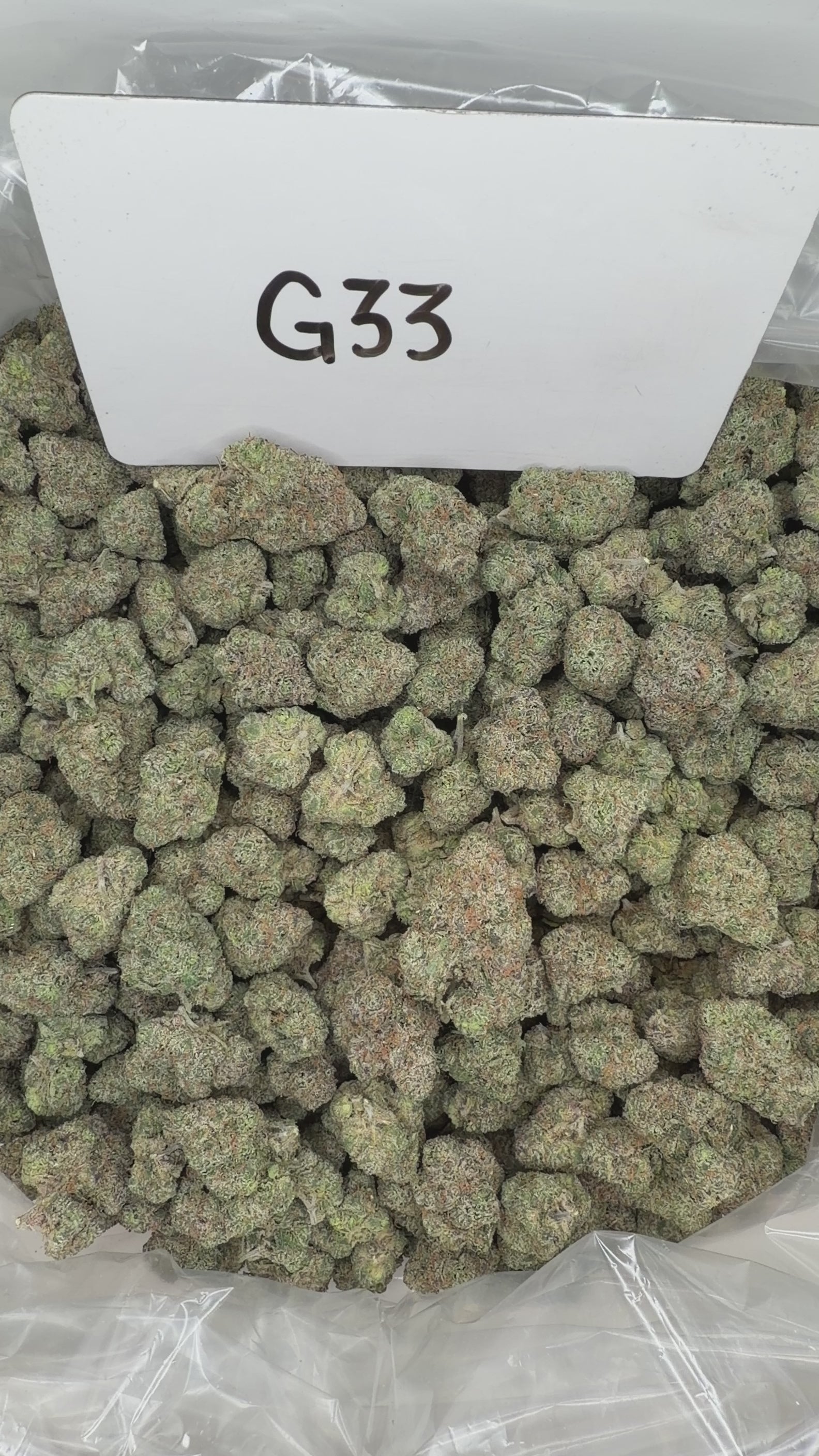 Collection of  in a gallery layout