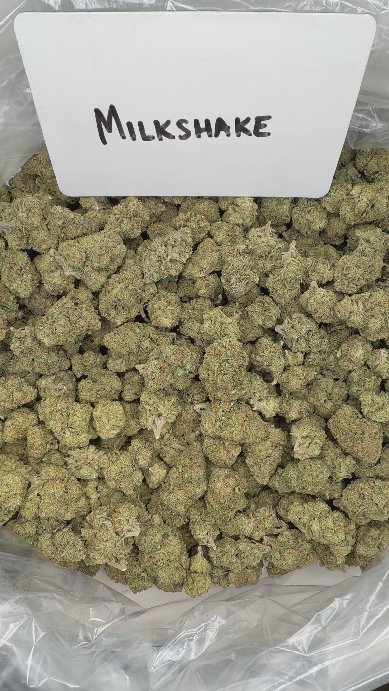 Collection of  in a gallery layout