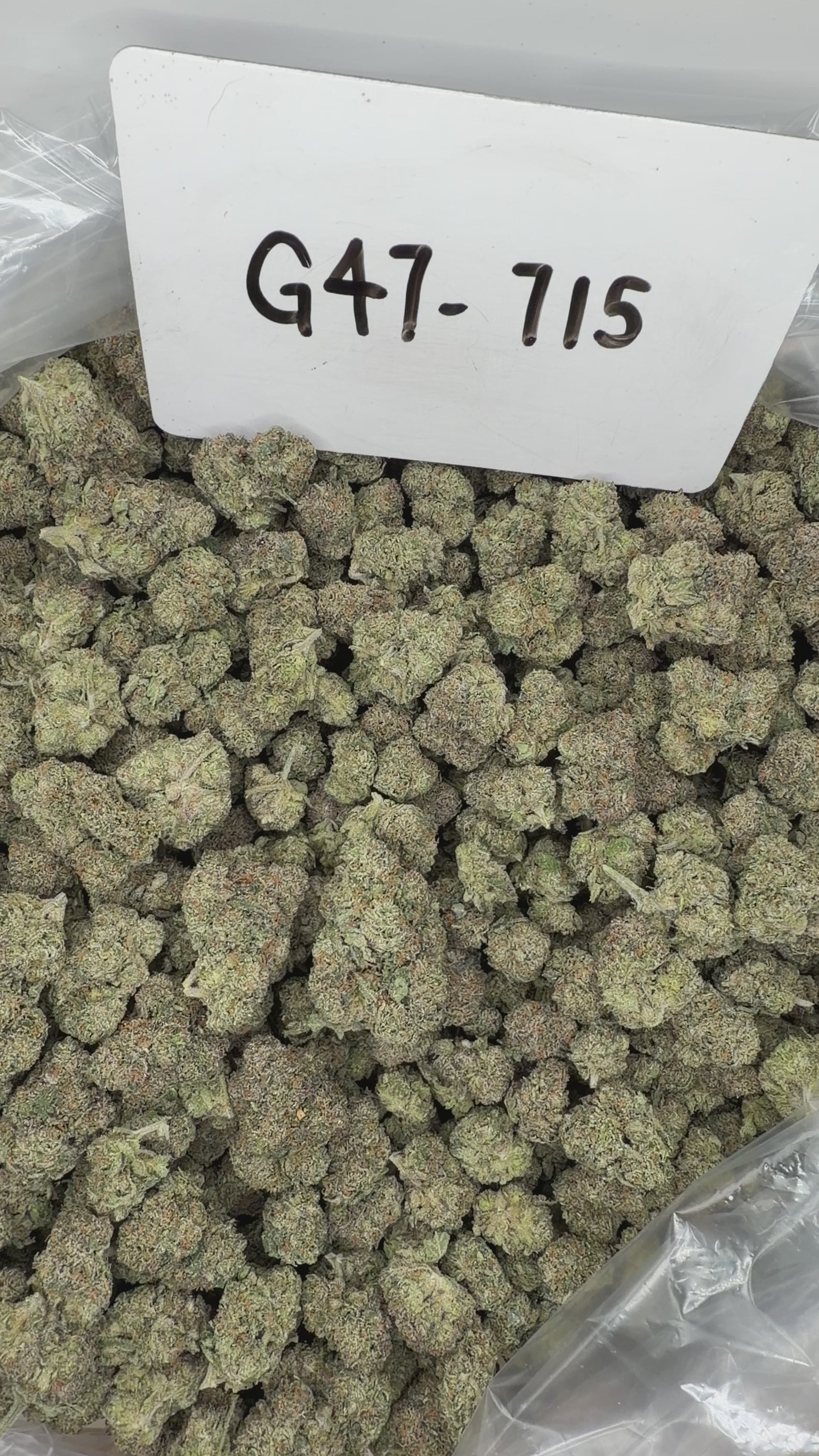 Collection of HEMP FLOWER | G47-715 in a gallery layout