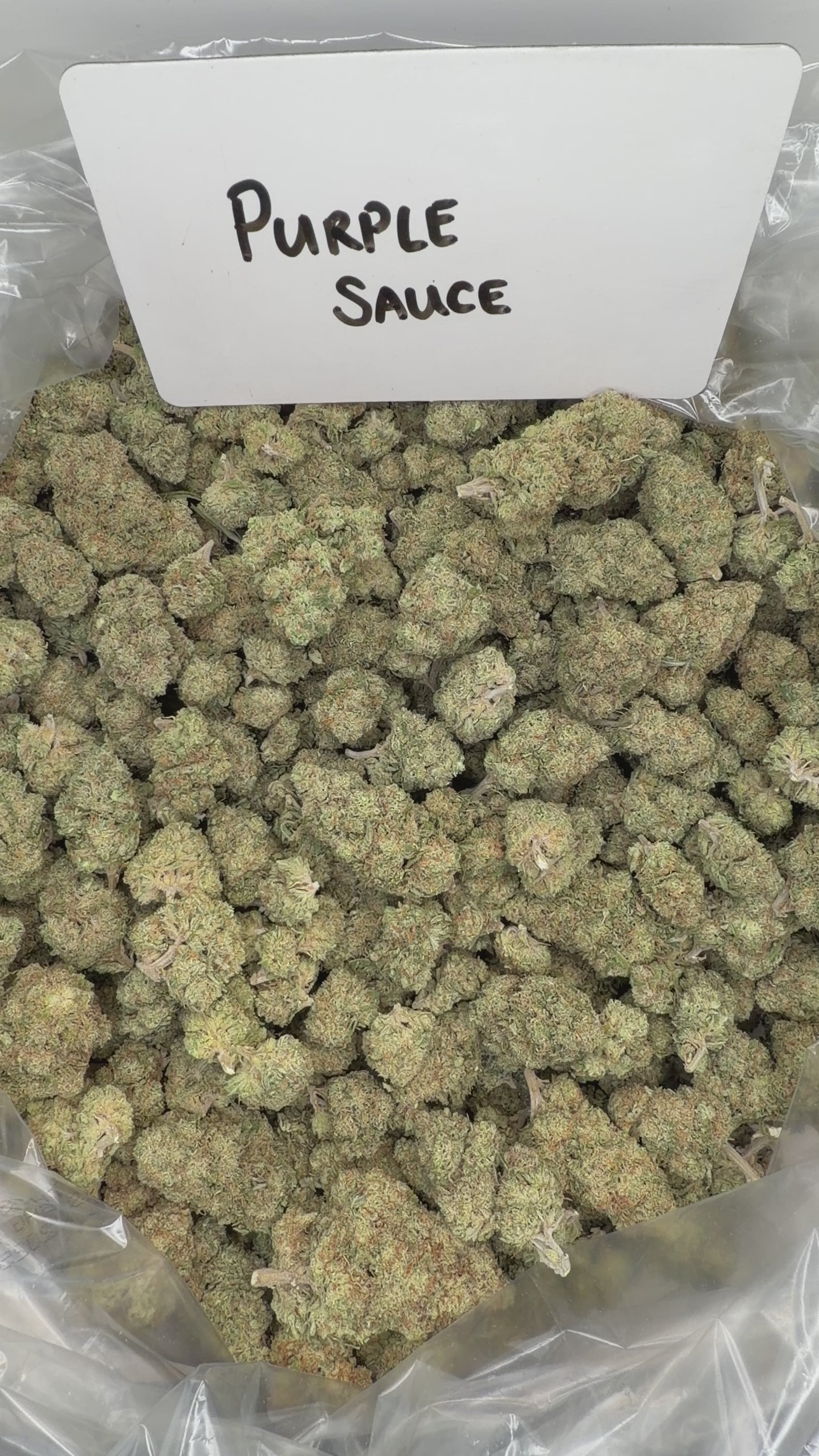 Collection of  in a gallery layout