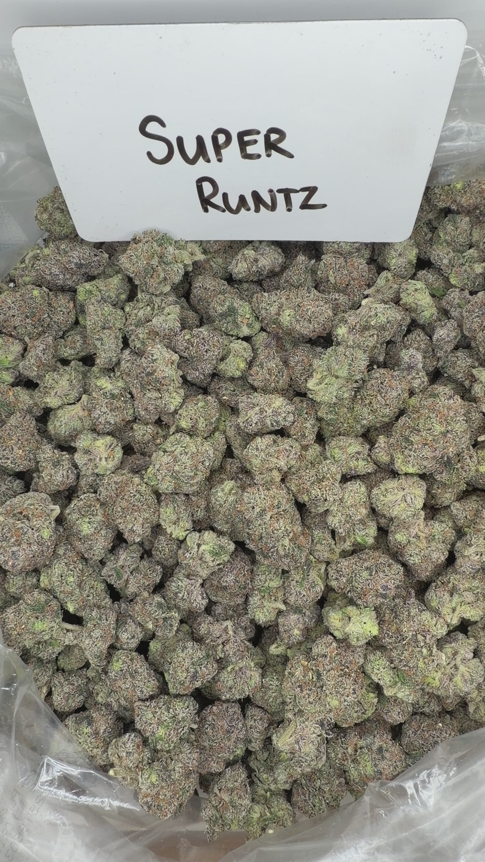 Collection of  in a gallery layout