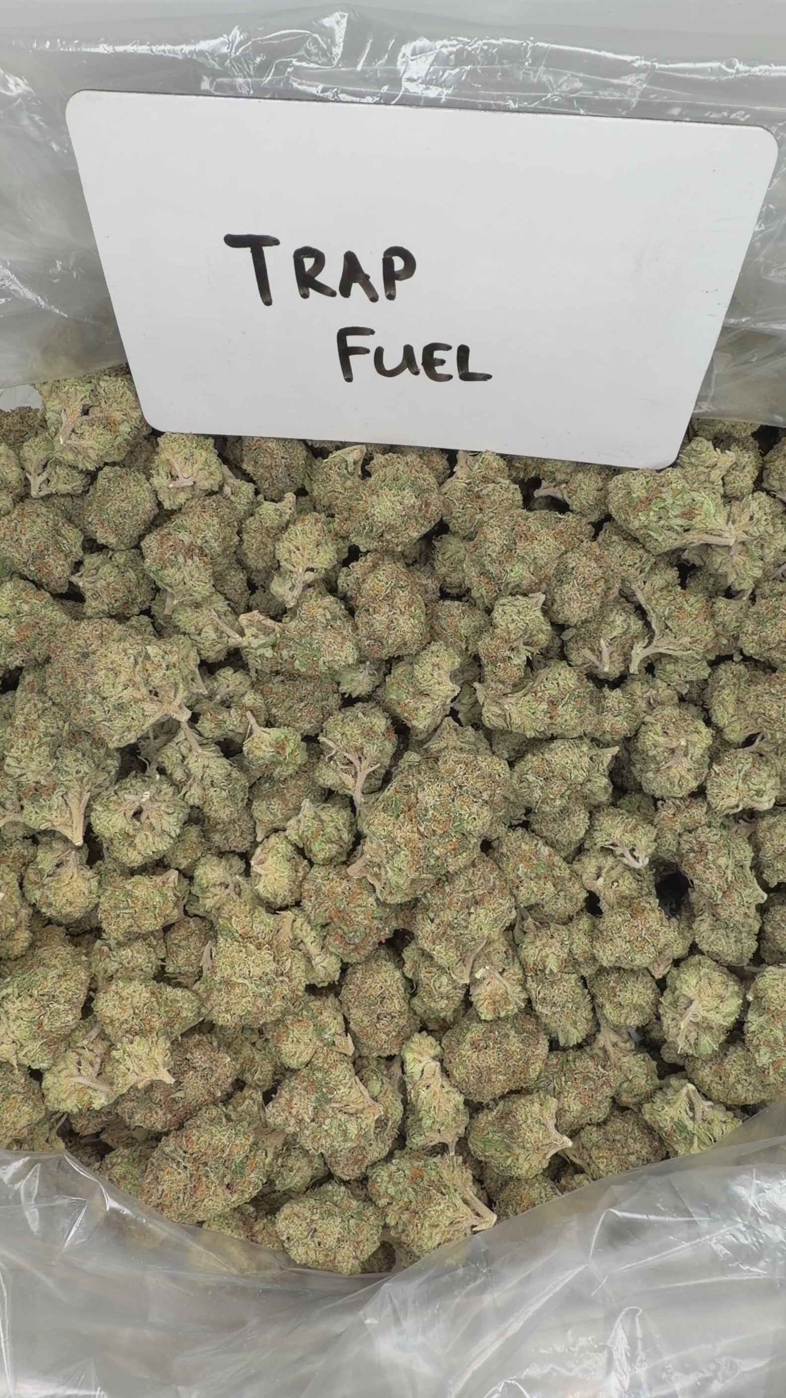 Collection of  in a gallery layout