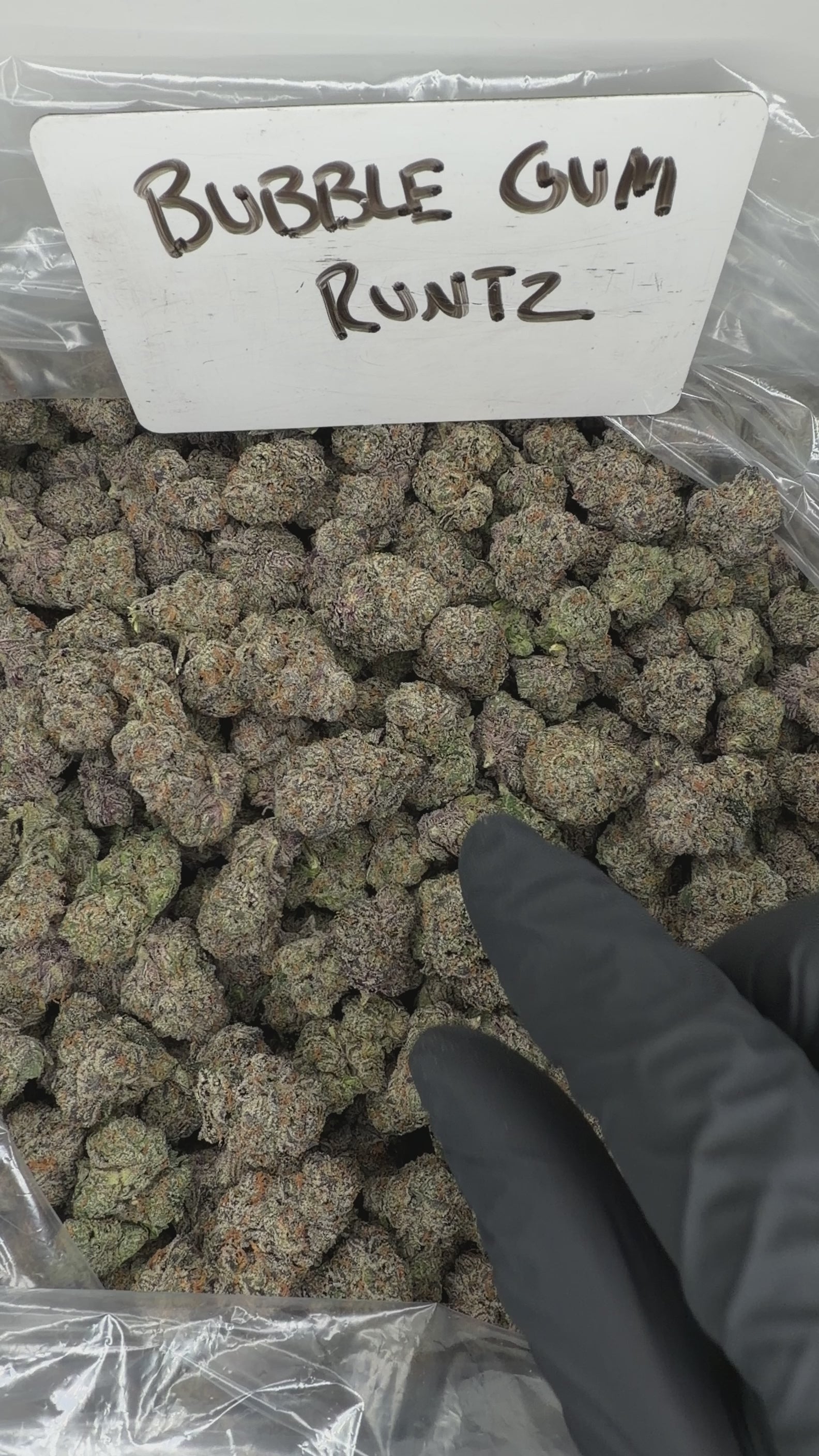 Collection of HEMP FLOWER | Bubble Gum Runtz in a gallery layout