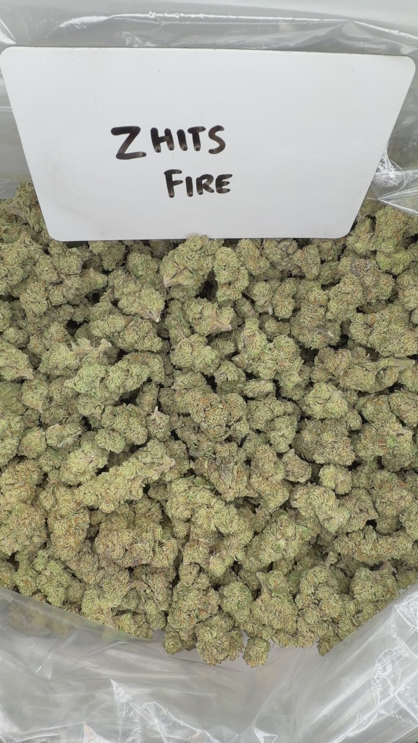 Collection of  in a gallery layout