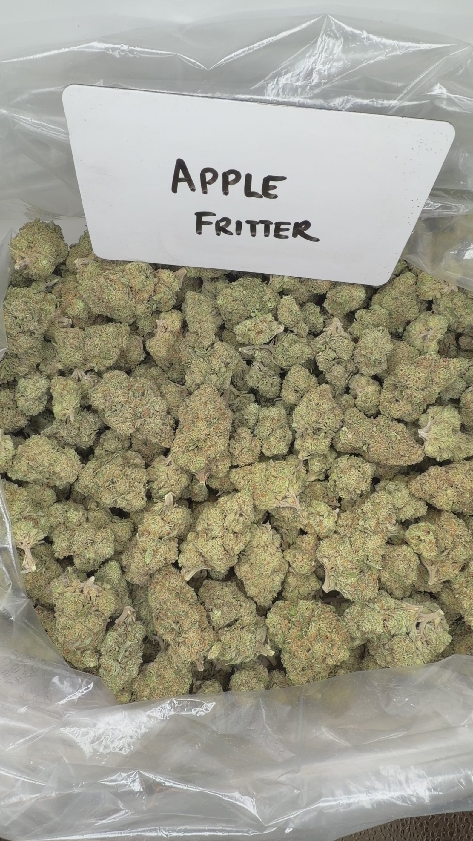 Collection of  in a gallery layout