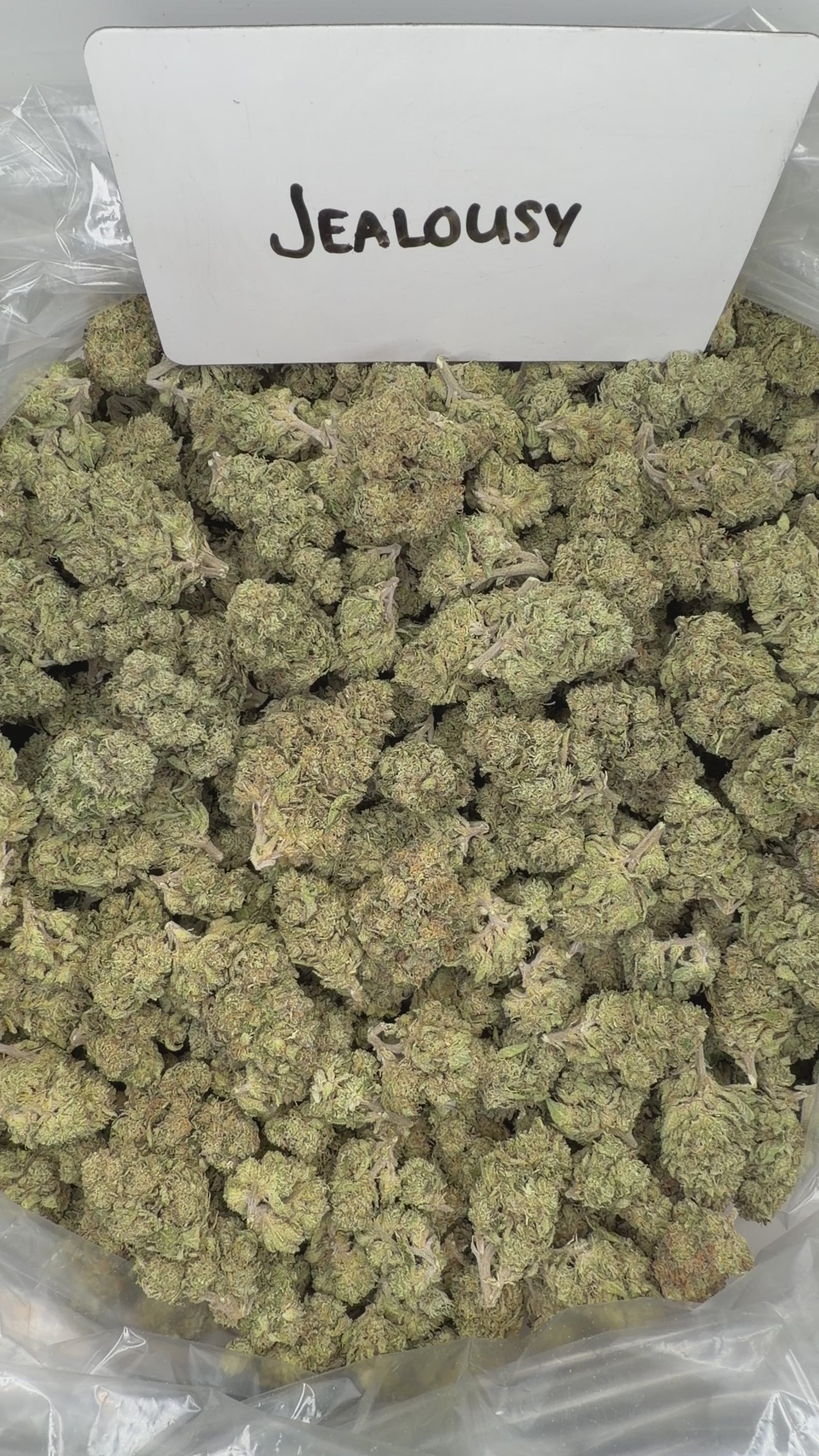 Collection of  in a gallery layout