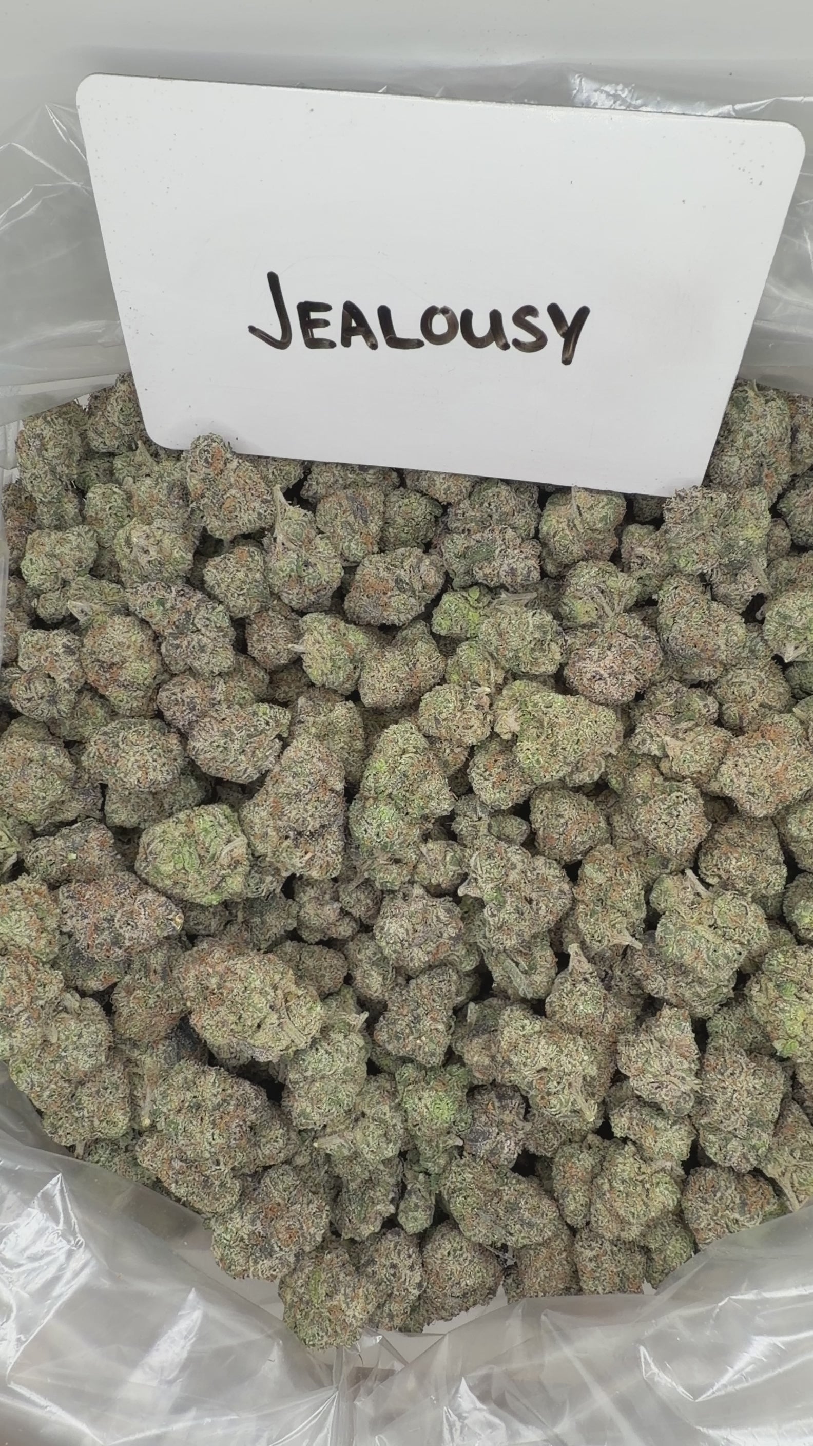 Collection of  in a gallery layout